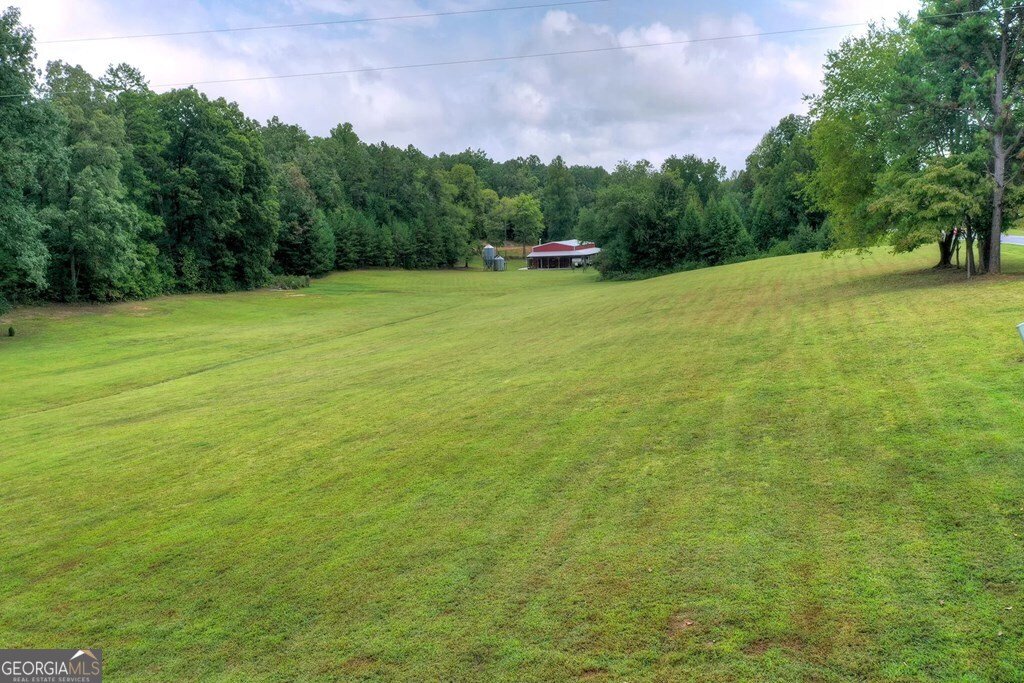 4011 Murphy Highway Mineral Bluff - Photo 44