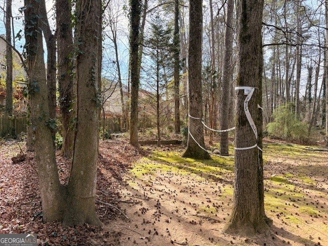 1080 Pebble Bend Drive Grayson - Photo 49