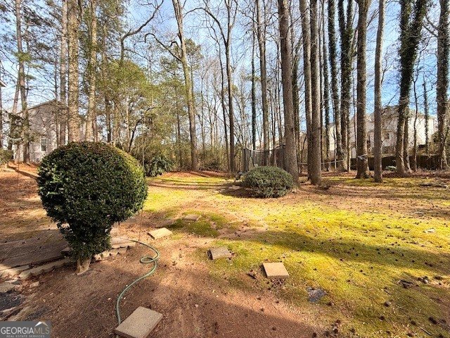 1080 Pebble Bend Drive Grayson - Photo 55