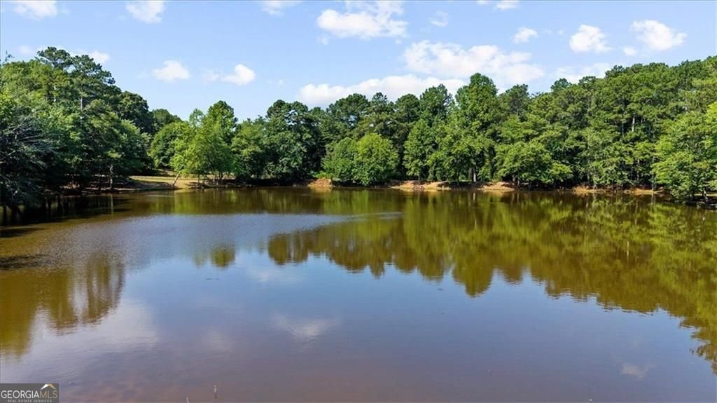 917 Mnt McKinley Way Grayson - Photo 70