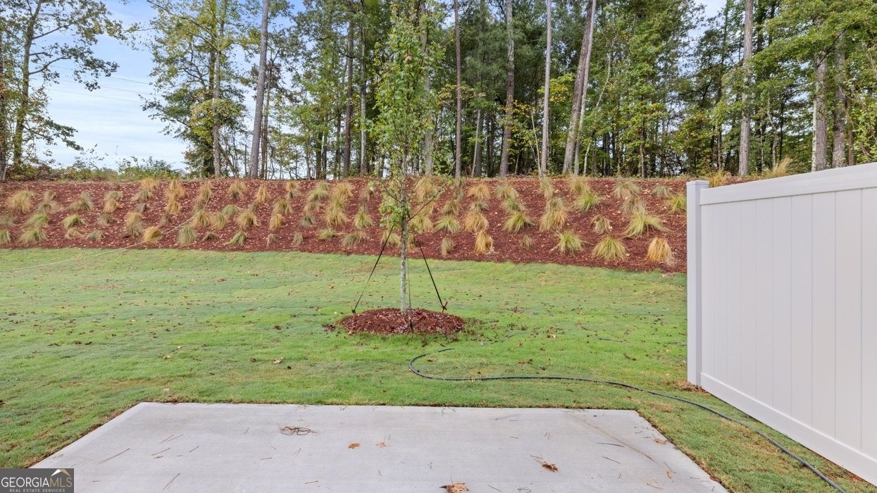 485 Silver Moon Drive Loganville - Photo 55