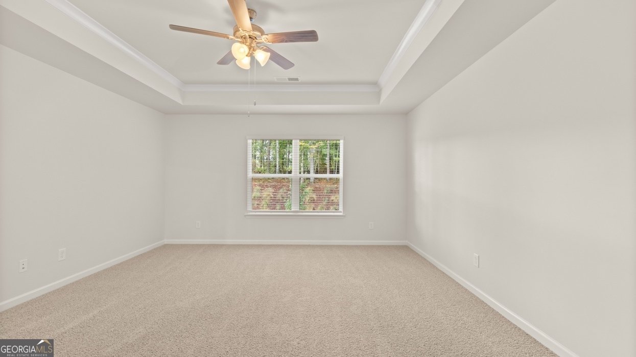 485 Silver Moon Drive Loganville - Photo 64