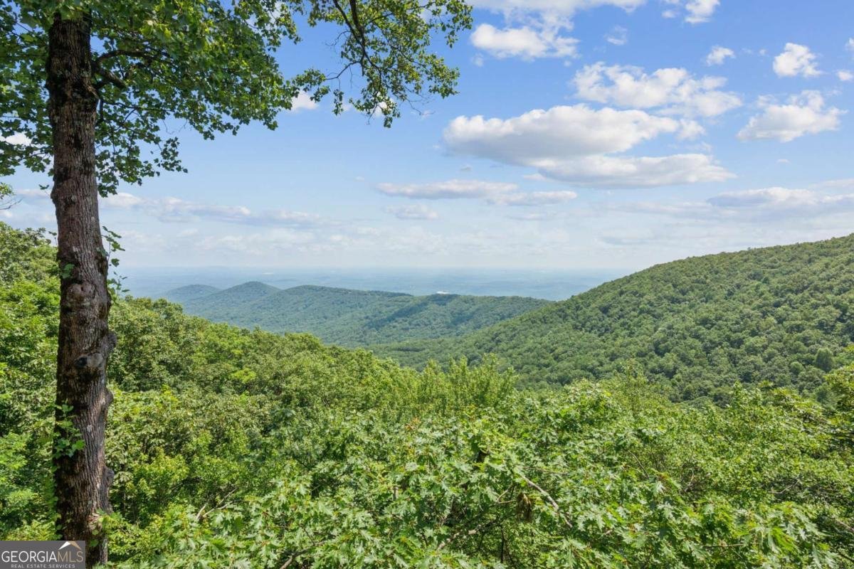 51 Deer Run Ridge Extension Big Canoe - Photo 33