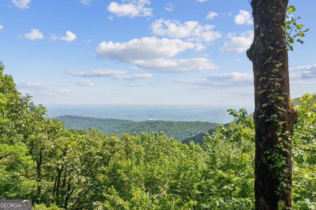 51 Deer Run Ridge Extension Big Canoe - Photo 40