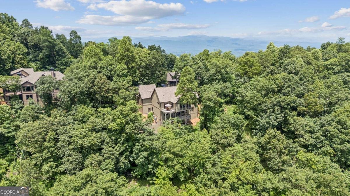 51 Deer Run Ridge Extension Big Canoe - Photo 42