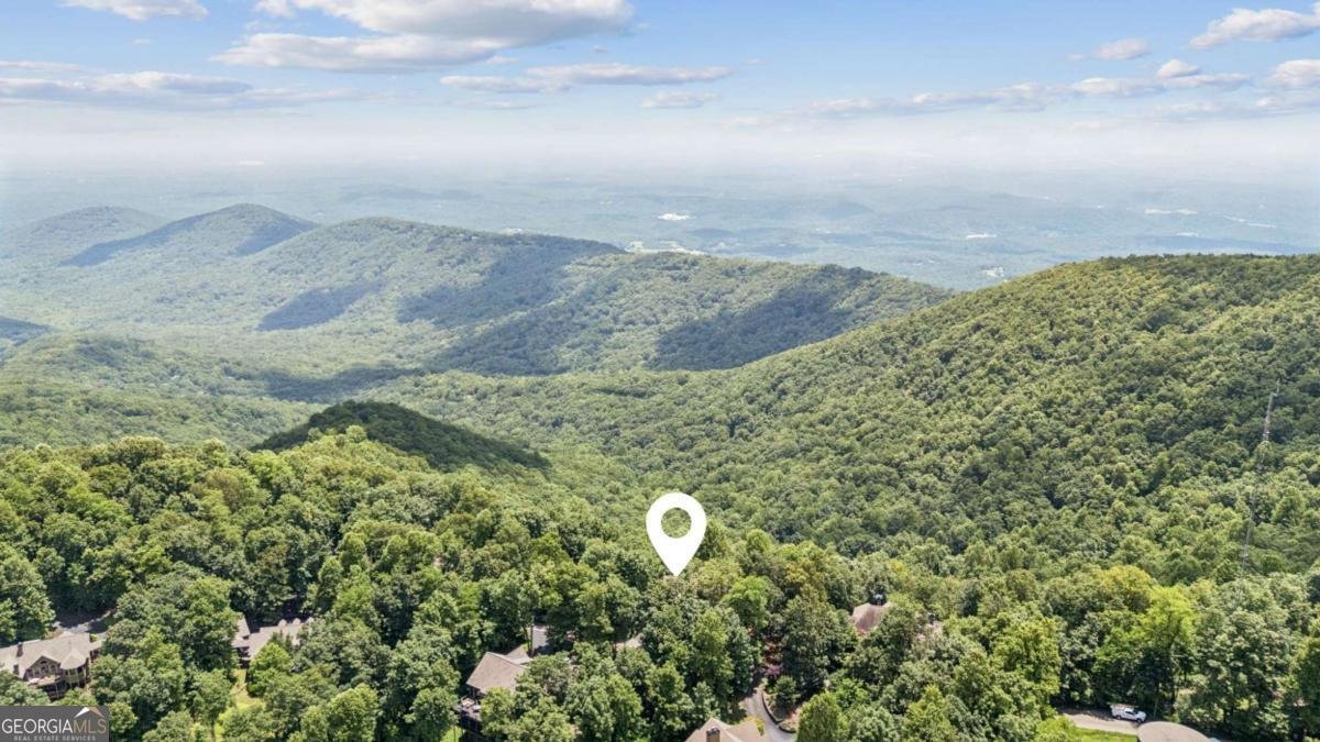 51 Deer Run Ridge Extension Big Canoe - Photo 43