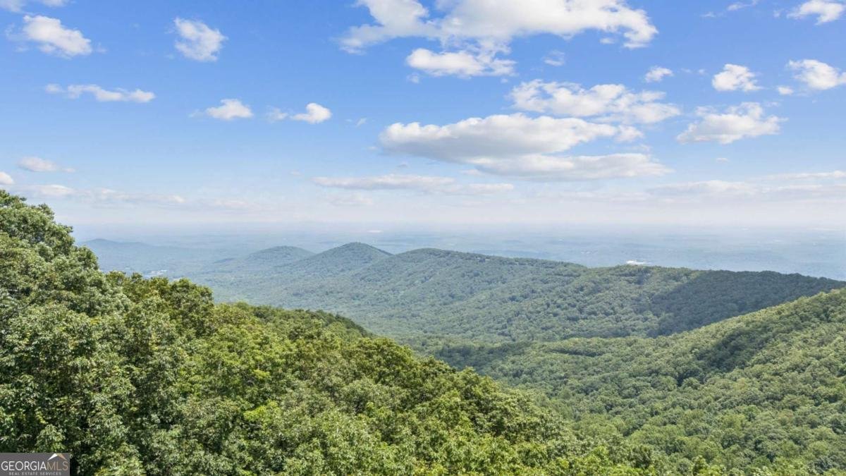 51 Deer Run Ridge Extension Big Canoe - Photo 46