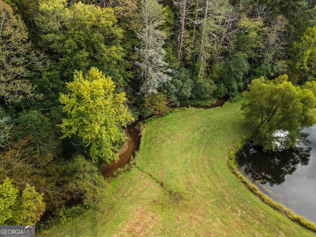 3800 Cutcane Road Mineral Bluff - Photo 60