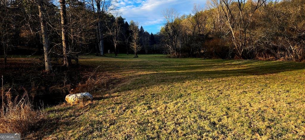 3800 Cutcane Road Mineral Bluff - Photo 62