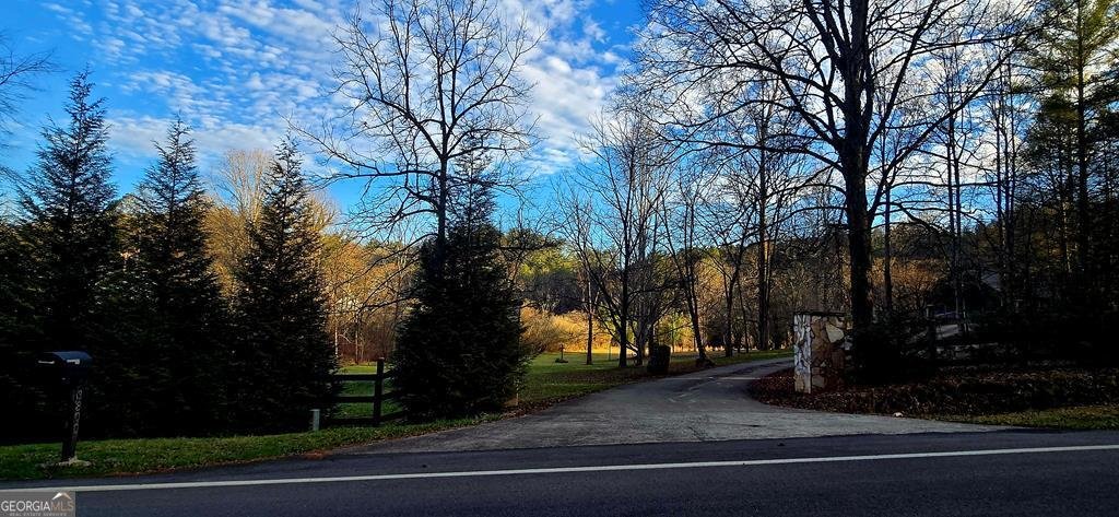 3800 Cutcane Road Mineral Bluff - Photo 64