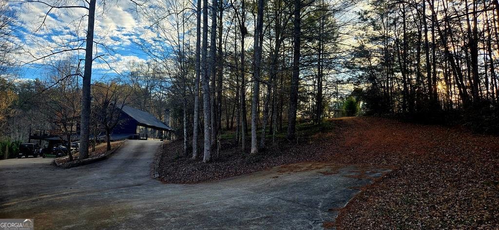 3800 Cutcane Road Mineral Bluff - Photo 65