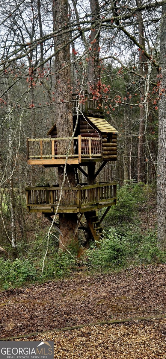 3800 Cutcane Road Mineral Bluff - Photo 66