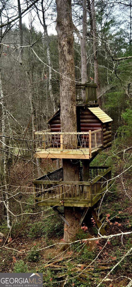 3800 Cutcane Road Mineral Bluff - Photo 67