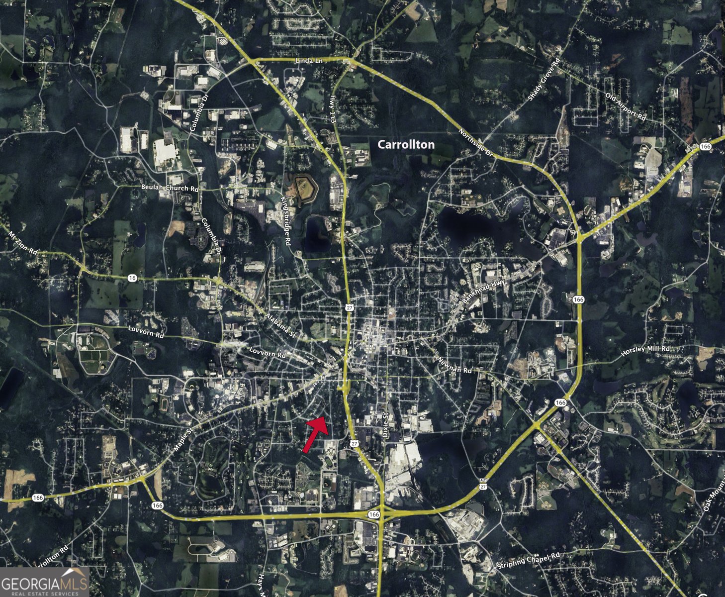 208 Richards Street Carrollton - Photo 42