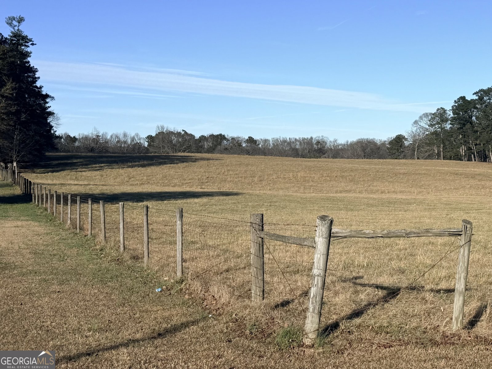 910 Line Creek Rd Senoia - Photo 44