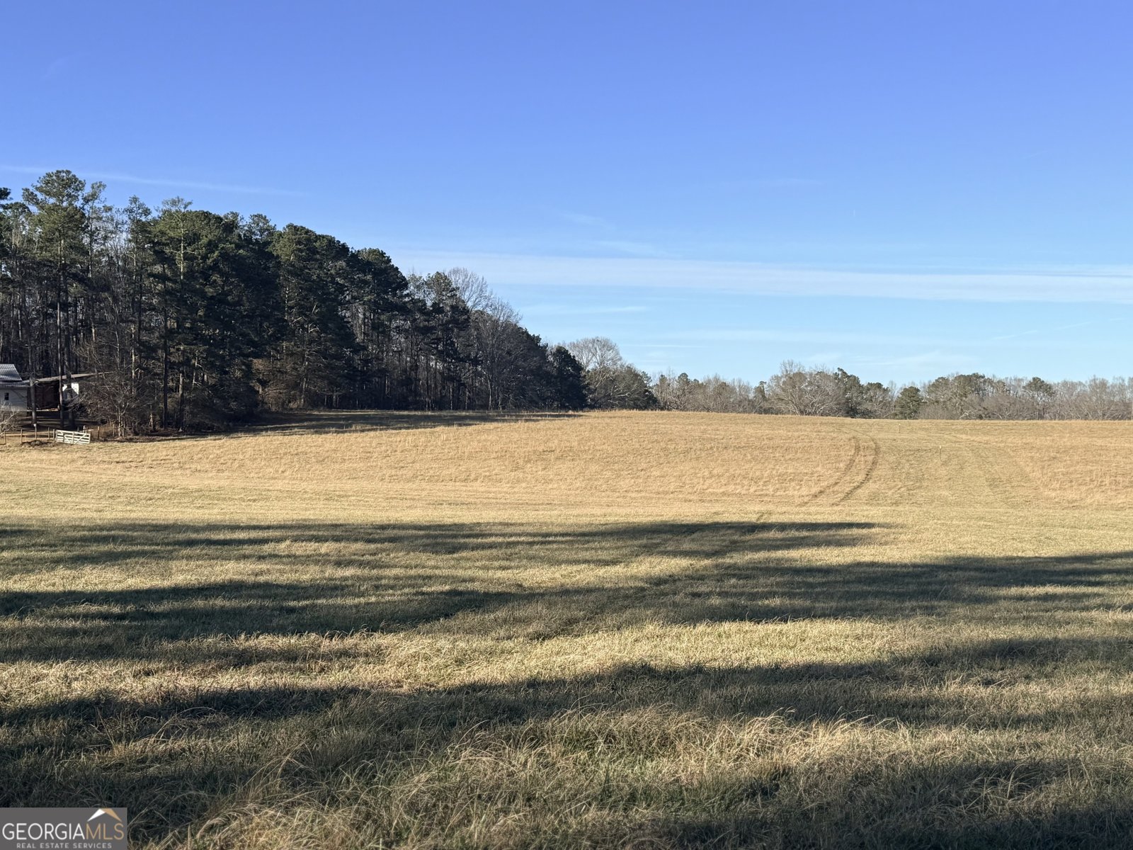 910 Line Creek Rd Senoia - Photo 45