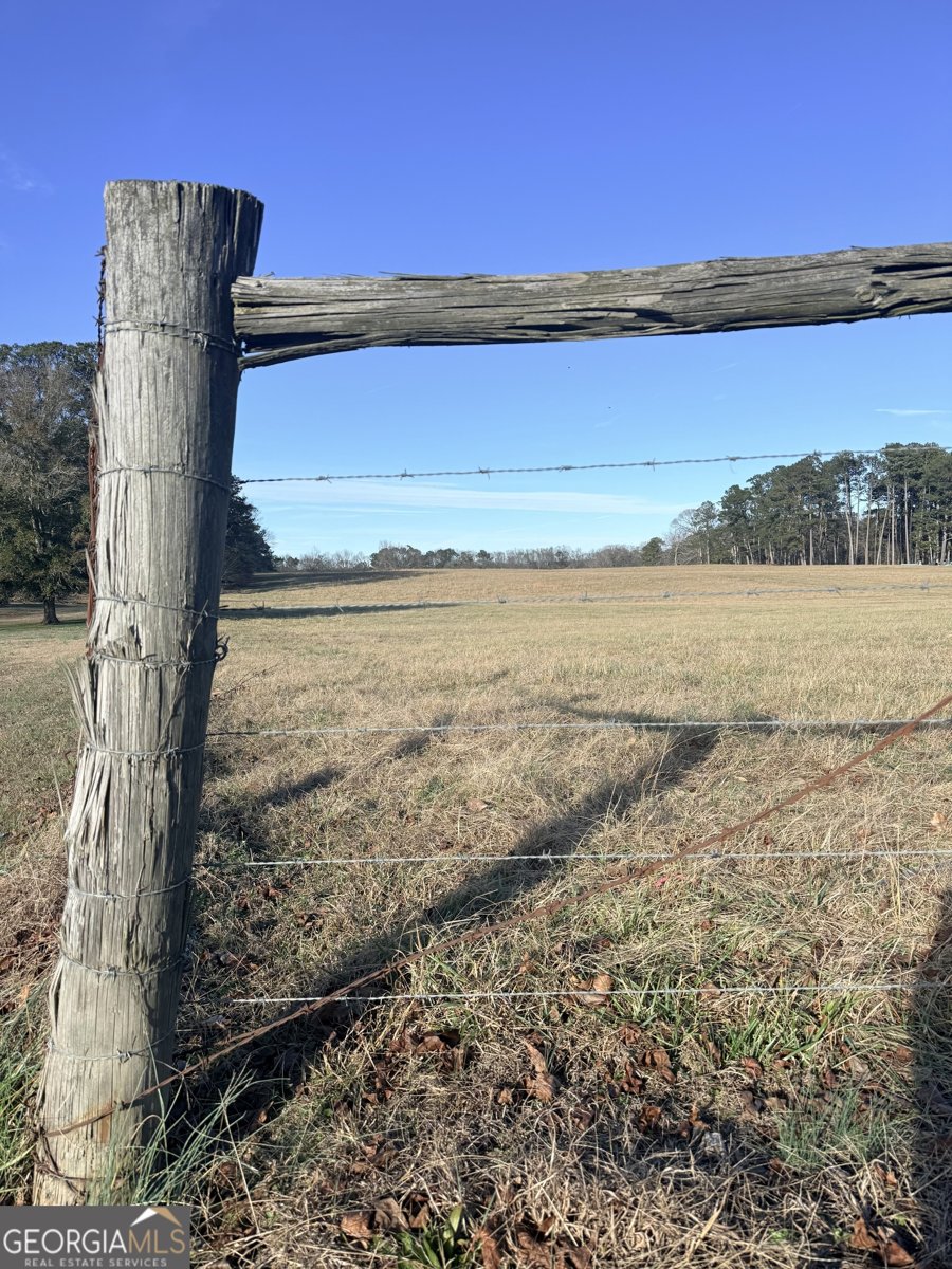 910 Line Creek Rd Senoia - Photo 46