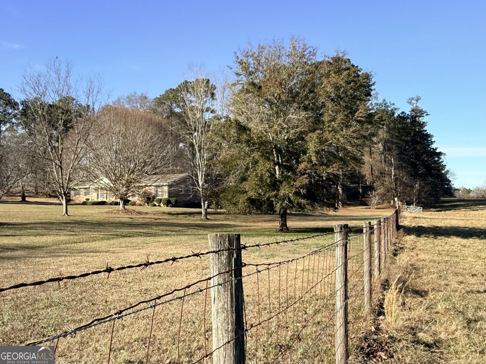 910 Line Creek Rd Senoia - Photo 48