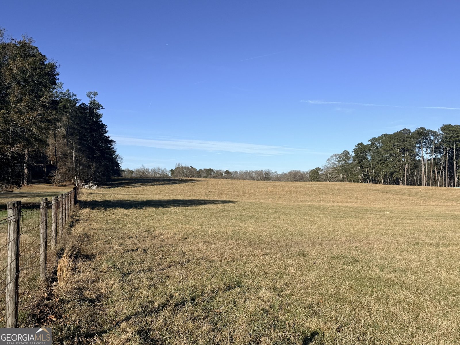 910 Line Creek Rd Senoia - Photo 49