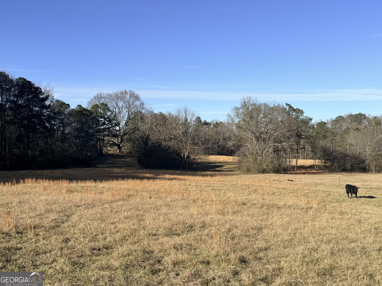 910 Line Creek Rd Senoia - Photo 51