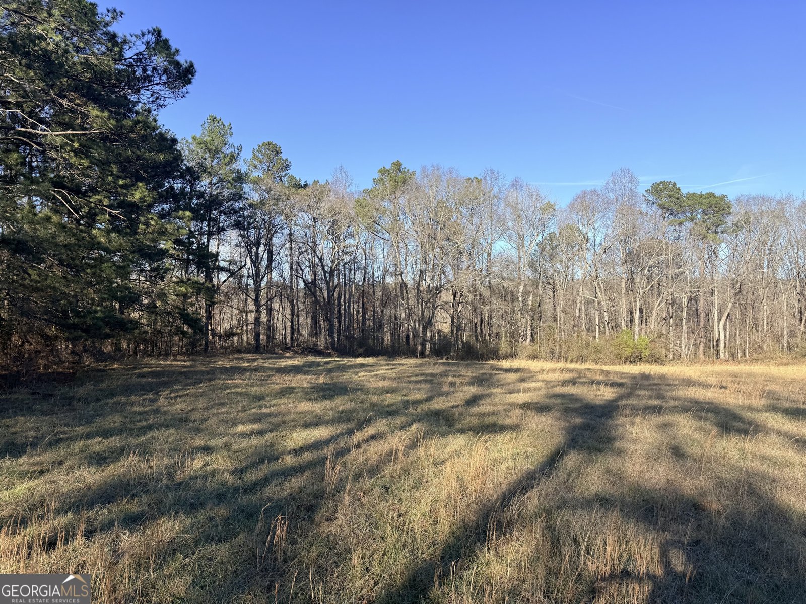 910 Line Creek Rd Senoia - Photo 52