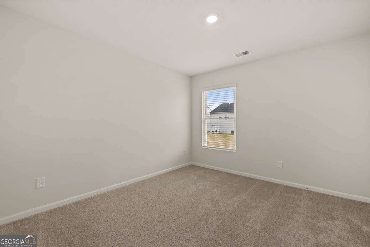 189 Lauritsen Way Newnan - Photo 21