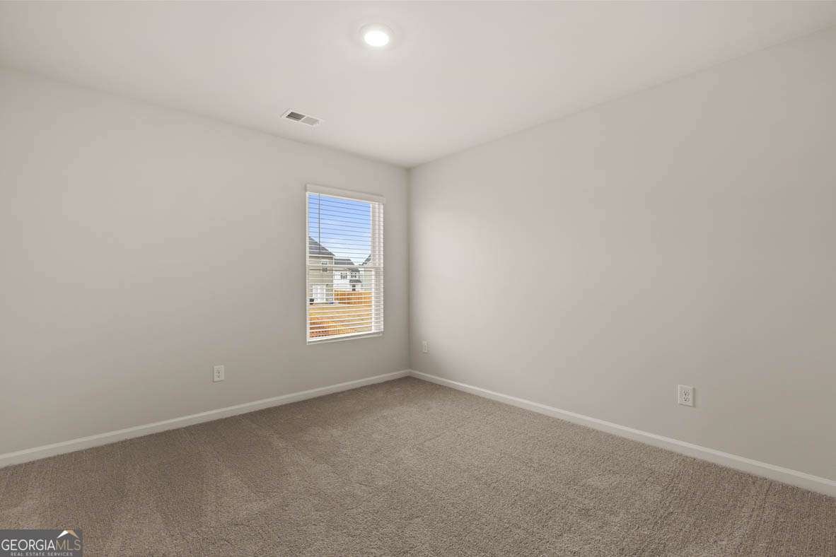 189 Lauritsen Way Newnan - Photo 23