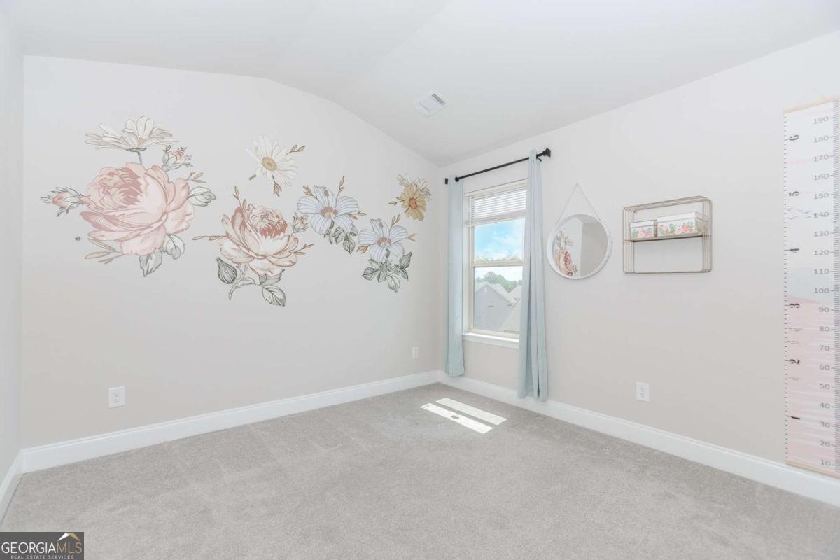 431 Hinton Farm Way Dacula - Photo 14