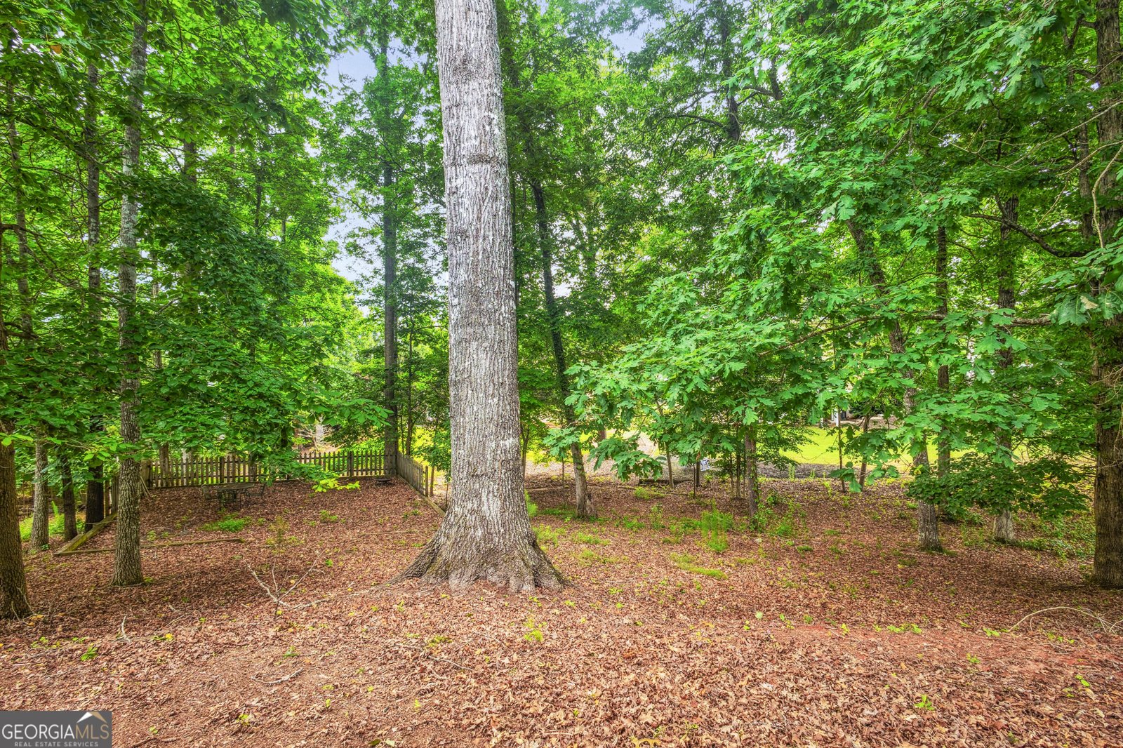 25 The Terrace Newnan - Photo 37