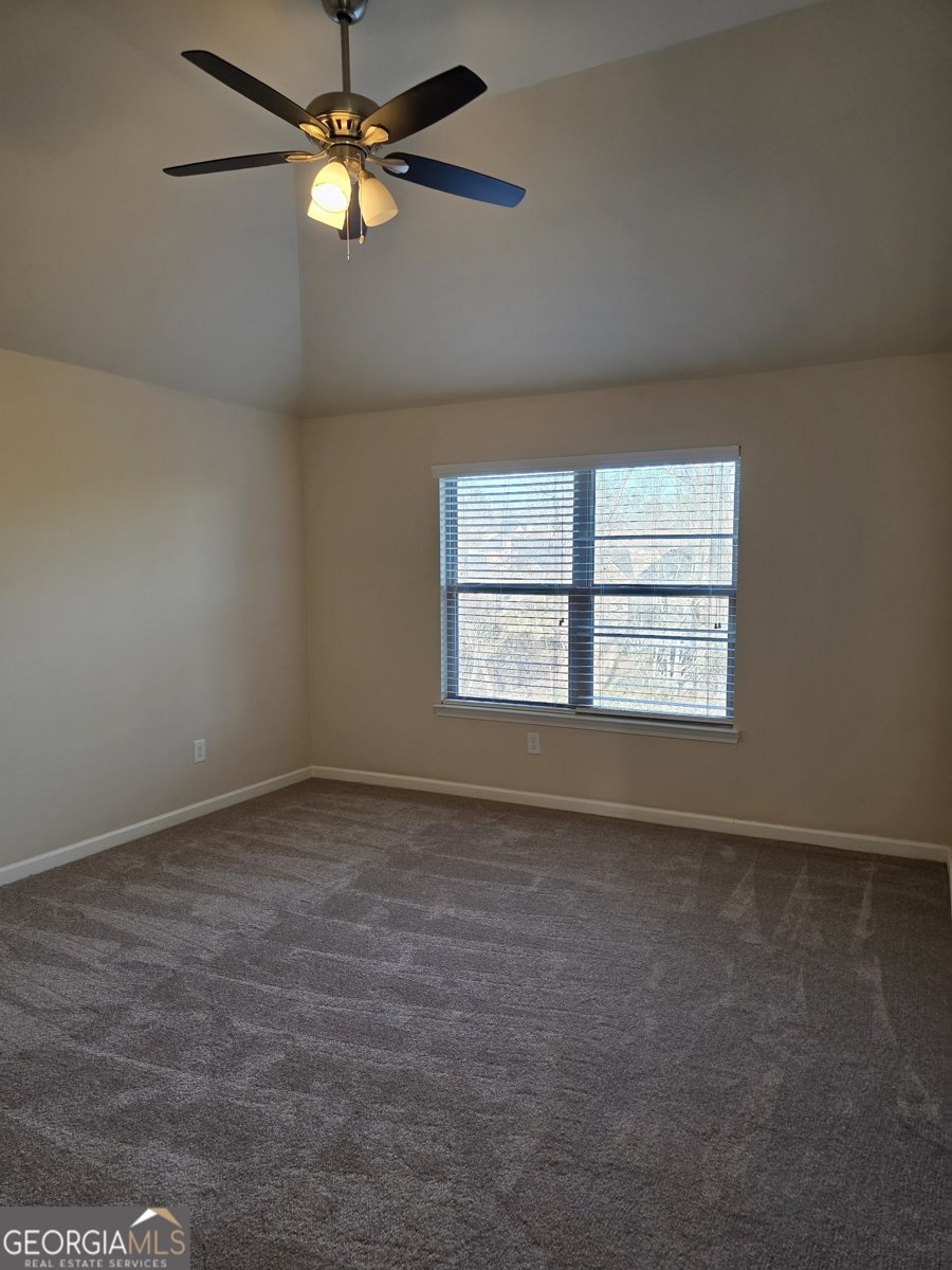 921 Nevis Way McDonough - Photo 46