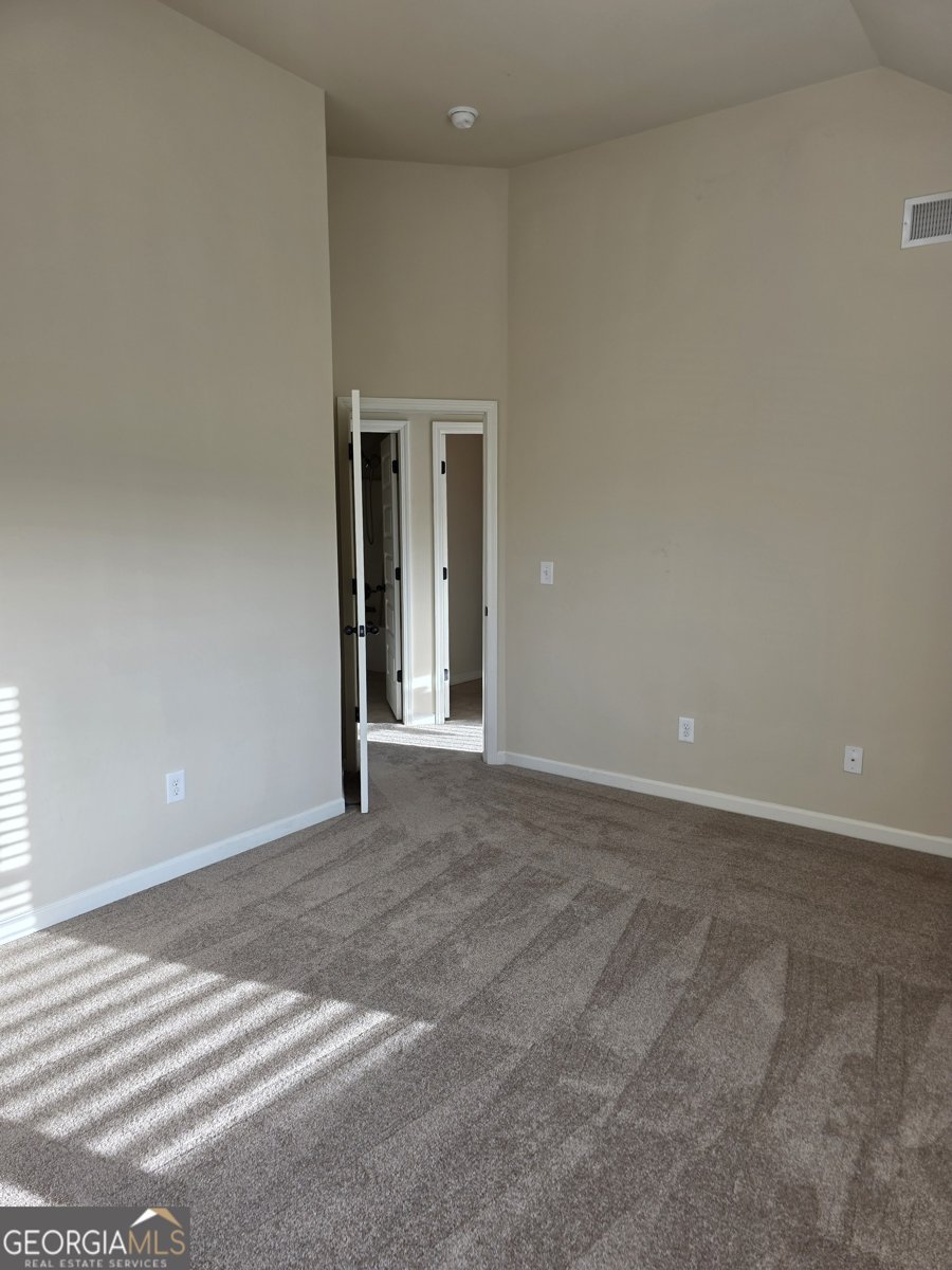 921 Nevis Way McDonough - Photo 50