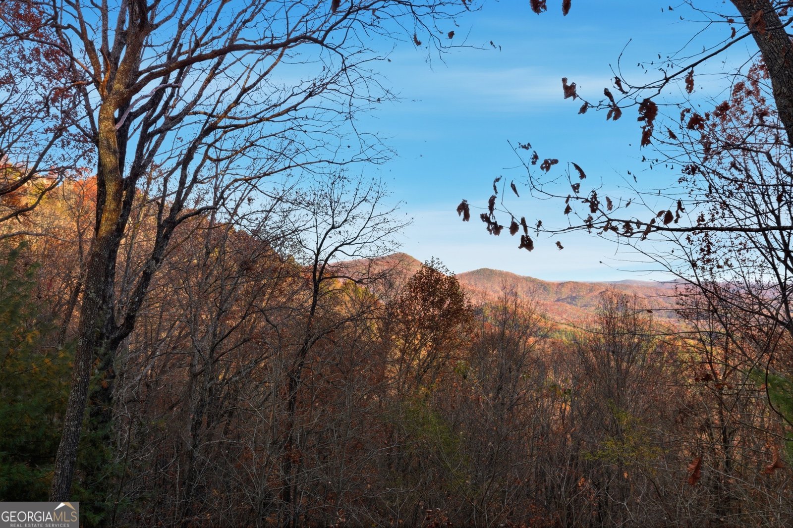 271 Limelight Drive Clayton - Photo 30