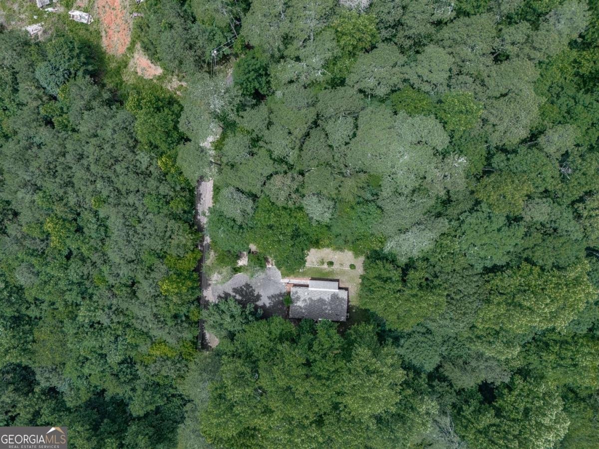 337 Theodore Cox Circle Canton - Photo 40