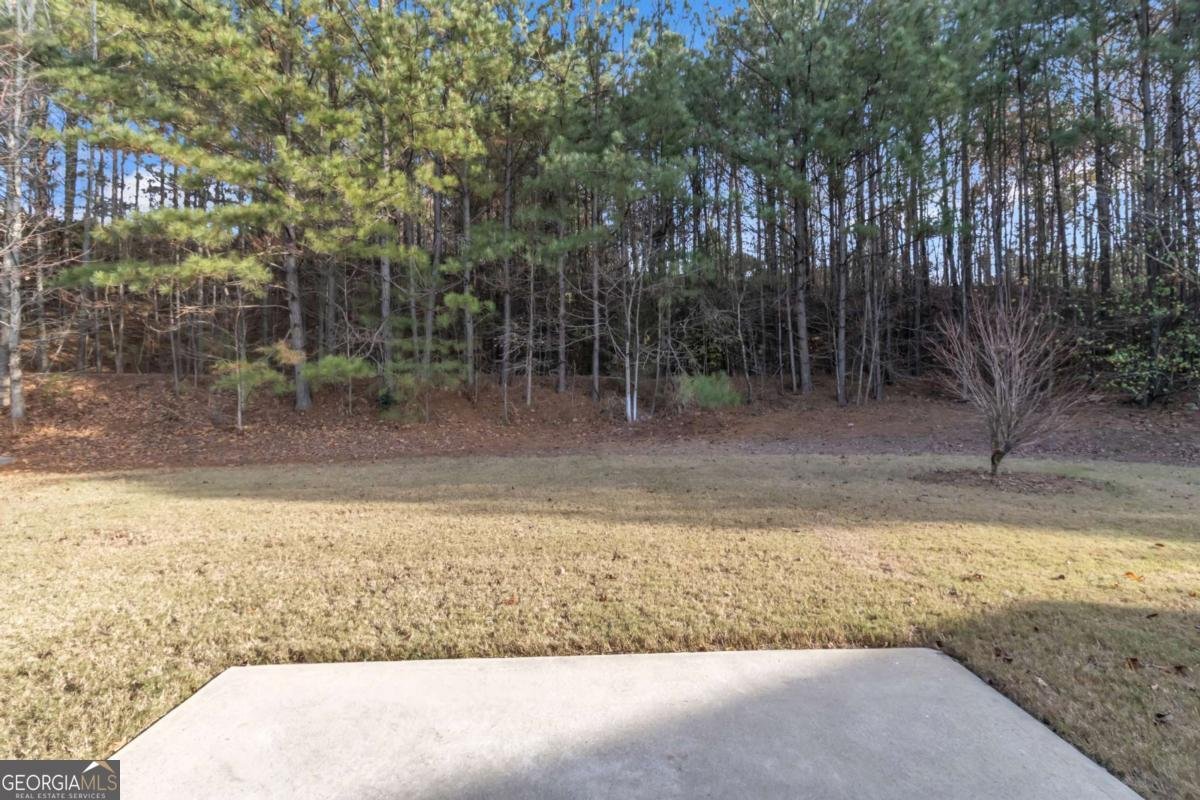 7187 Walton Reserve Lane Austell - Photo 41