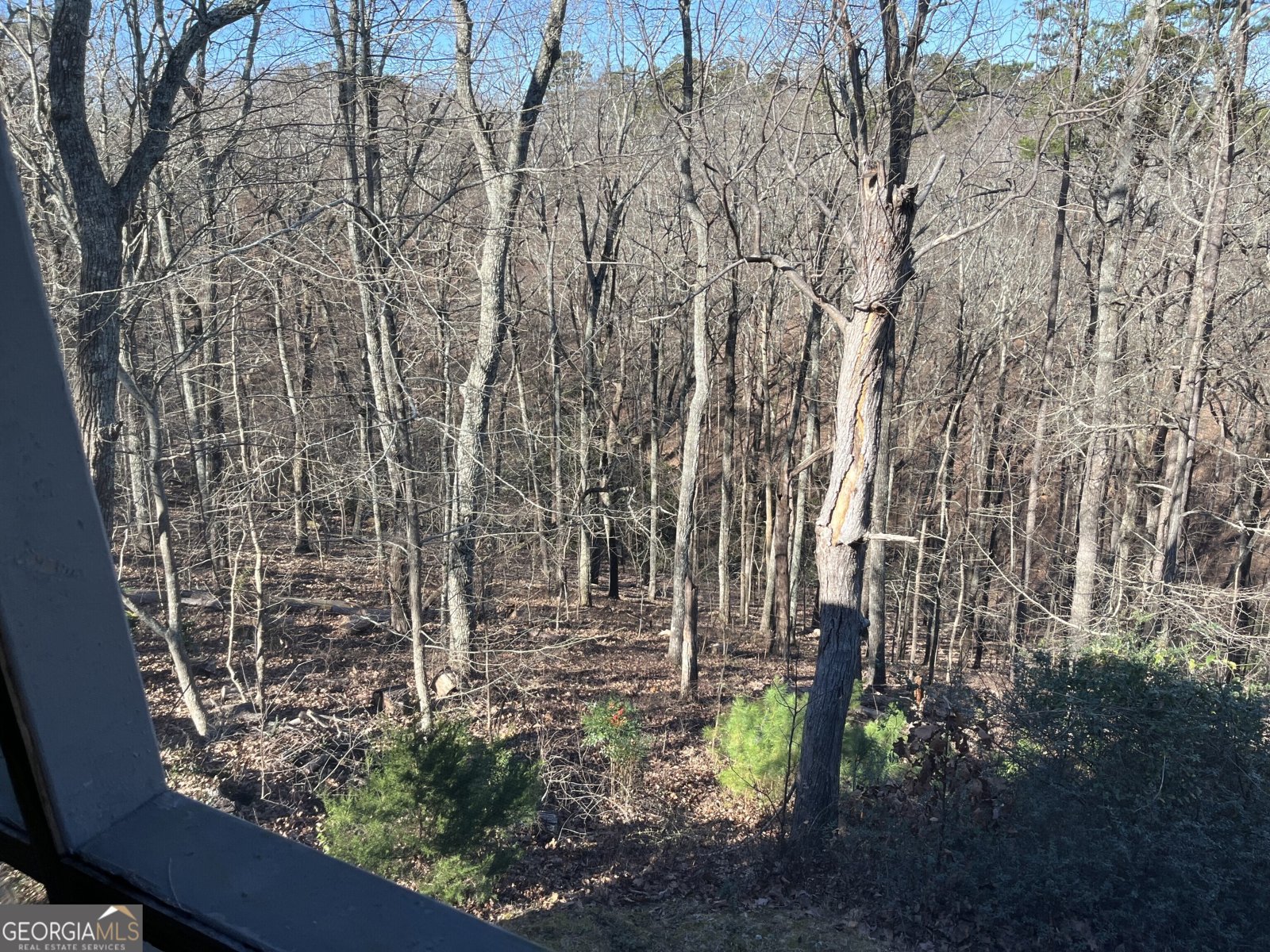 412 Mount Alto Road Rome - Photo 24