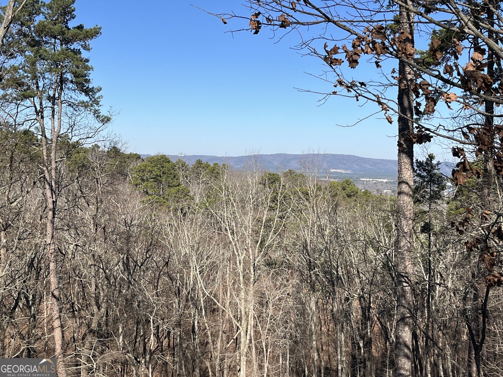 412 Mount Alto Road Rome - Photo 32