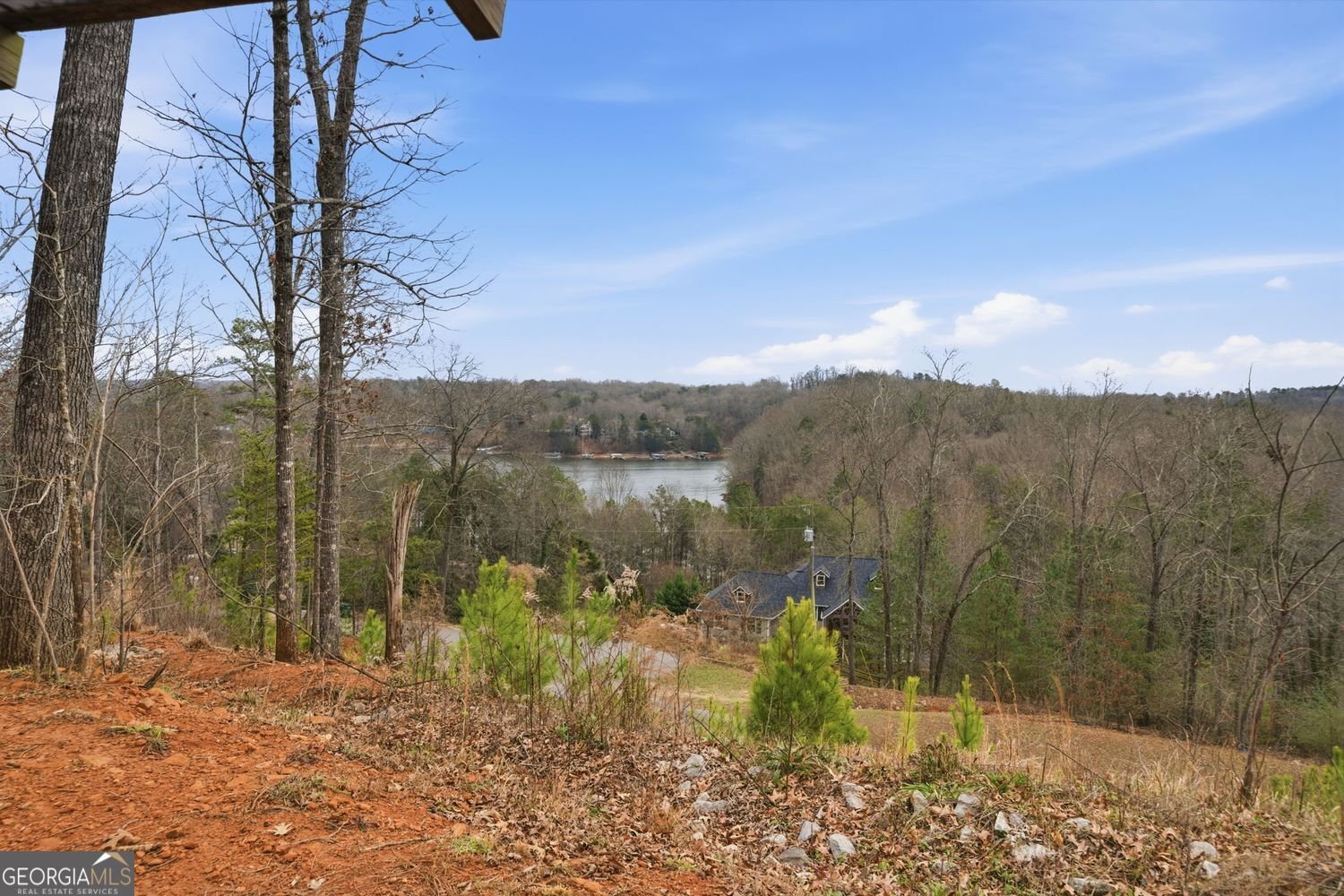 274 Moss Overlook Road Dawsonville - Photo 42