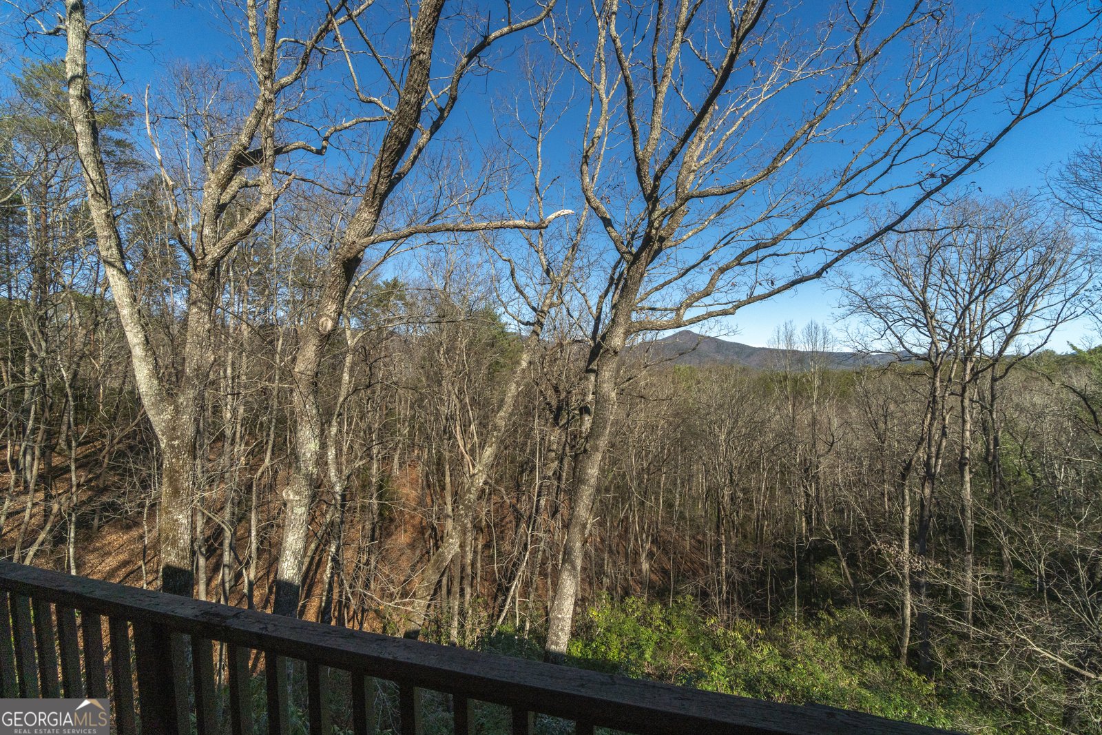 722 Woodbrier Sautee Nacoochee - Photo 65