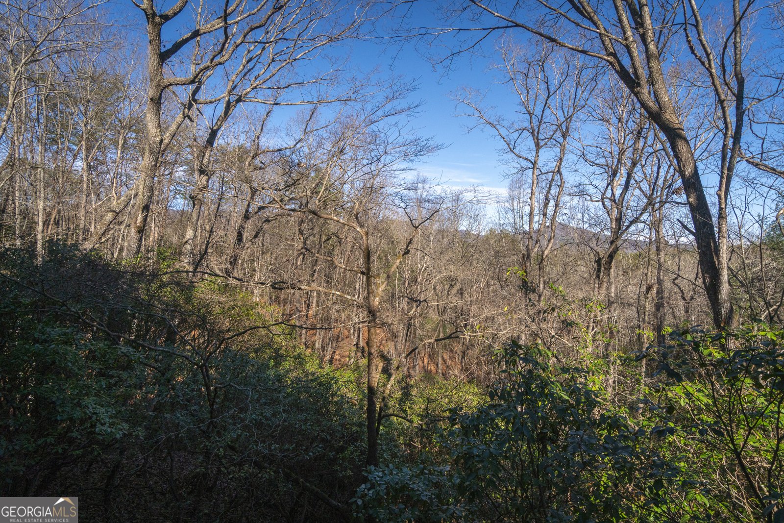 722 Woodbrier Sautee Nacoochee - Photo 99