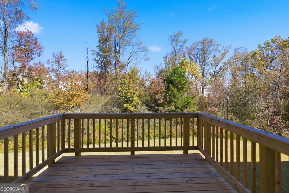 3983 Alderstone Drive Flowery Branch - Photo 29