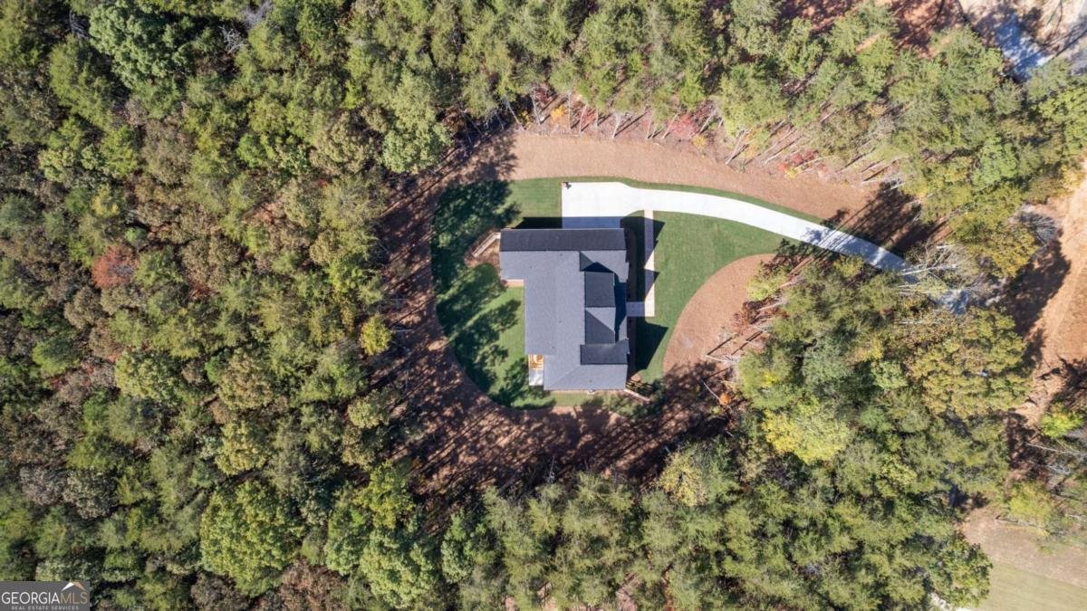 165 Highlands Chase Ball Ground - Photo 33