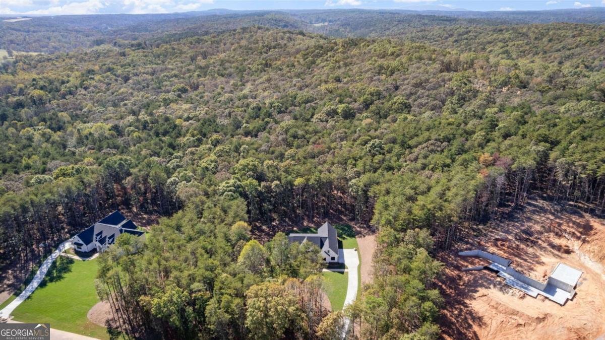 165 Highlands Chase Ball Ground - Photo 34