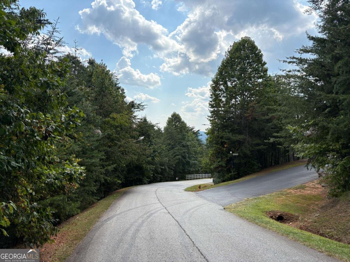 0 CROWN MOUNTAIN Dahlonega - Photo 11