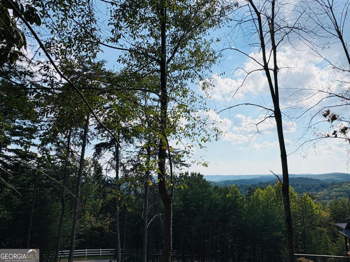 0 CROWN MOUNTAIN Dahlonega - Photo 12