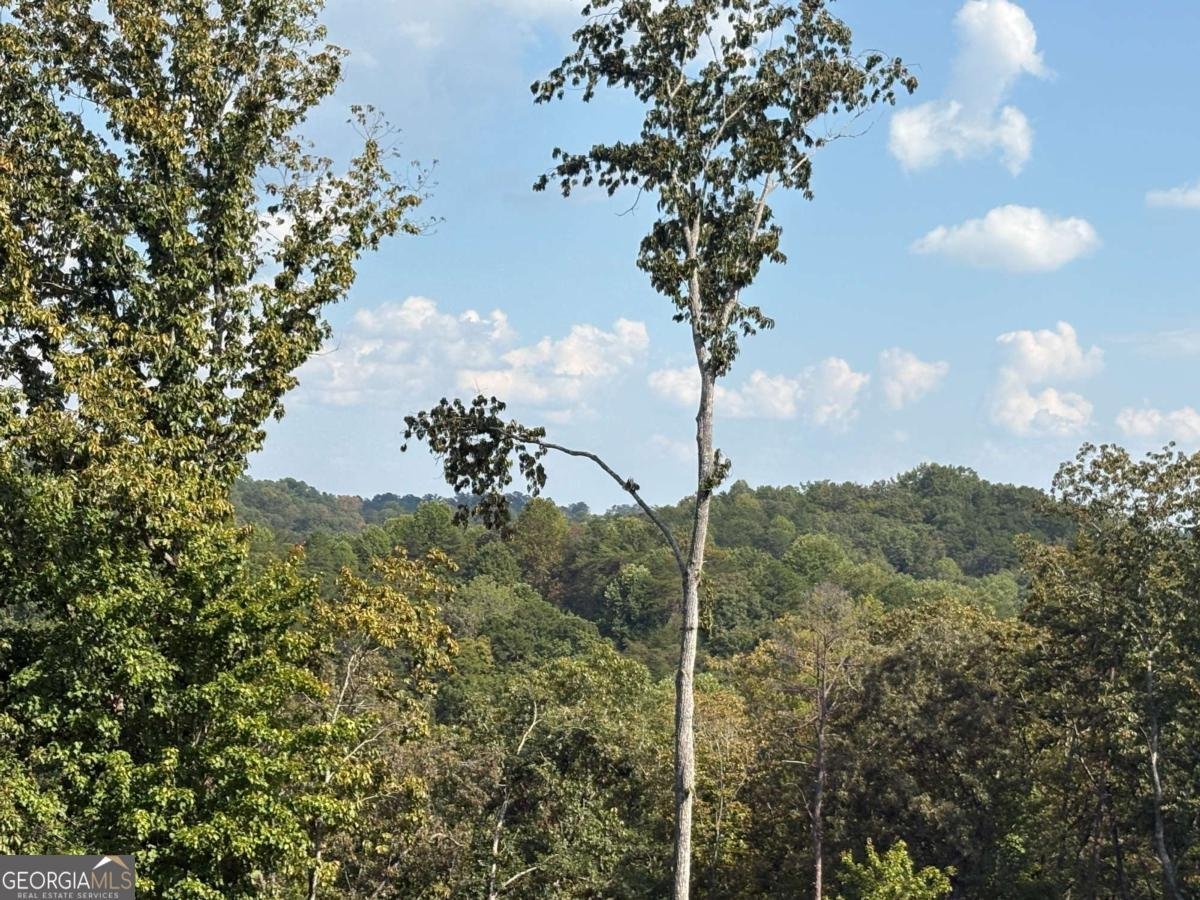 0 CROWN MOUNTAIN Dahlonega - Photo 15