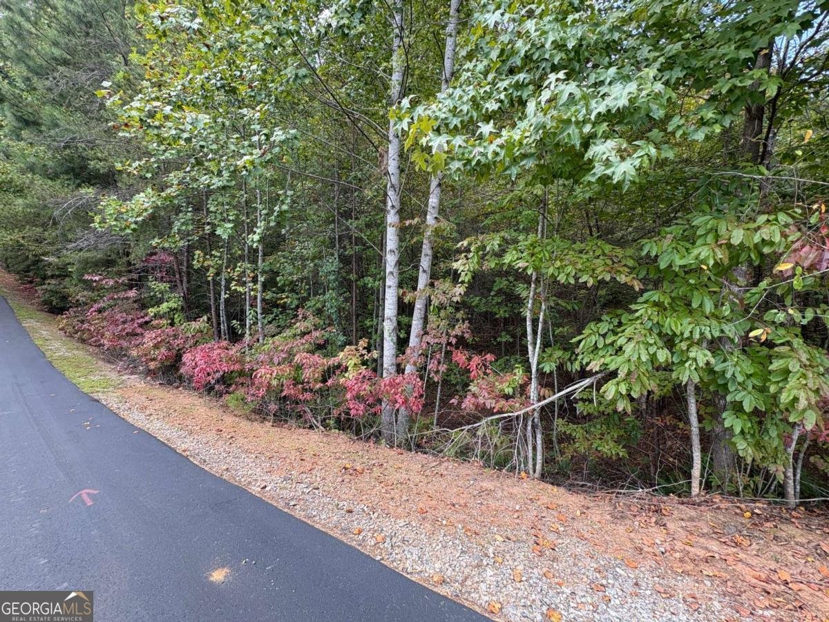 0 CROWN MOUNTAIN Dahlonega - Photo 6