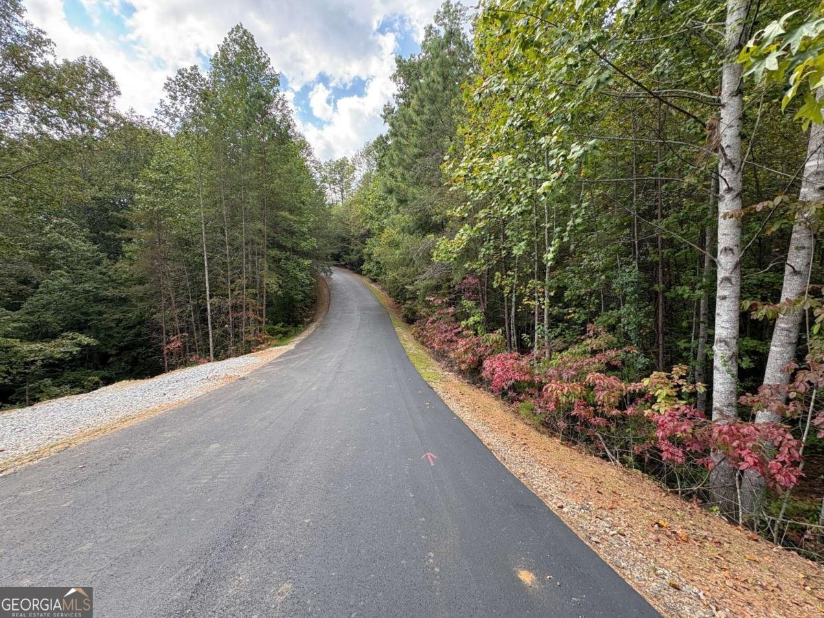 0 CROWN MOUNTAIN Dahlonega - Photo 7