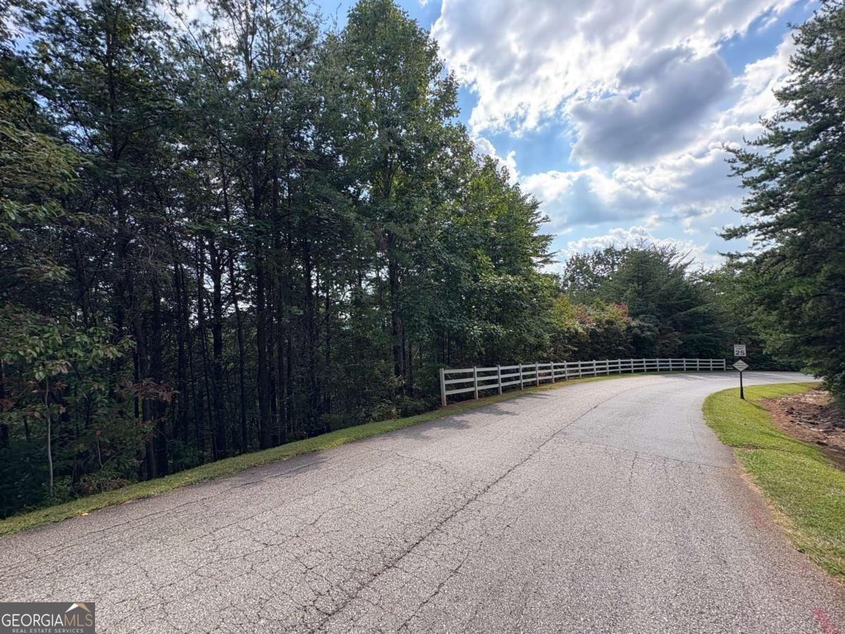 0 CROWN MOUNTAIN Dahlonega - Photo 8