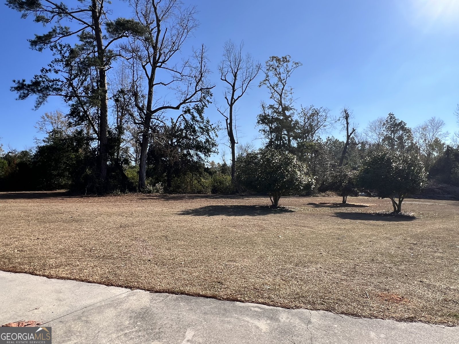 343 Morrison Street Mount Vernon - Photo 21