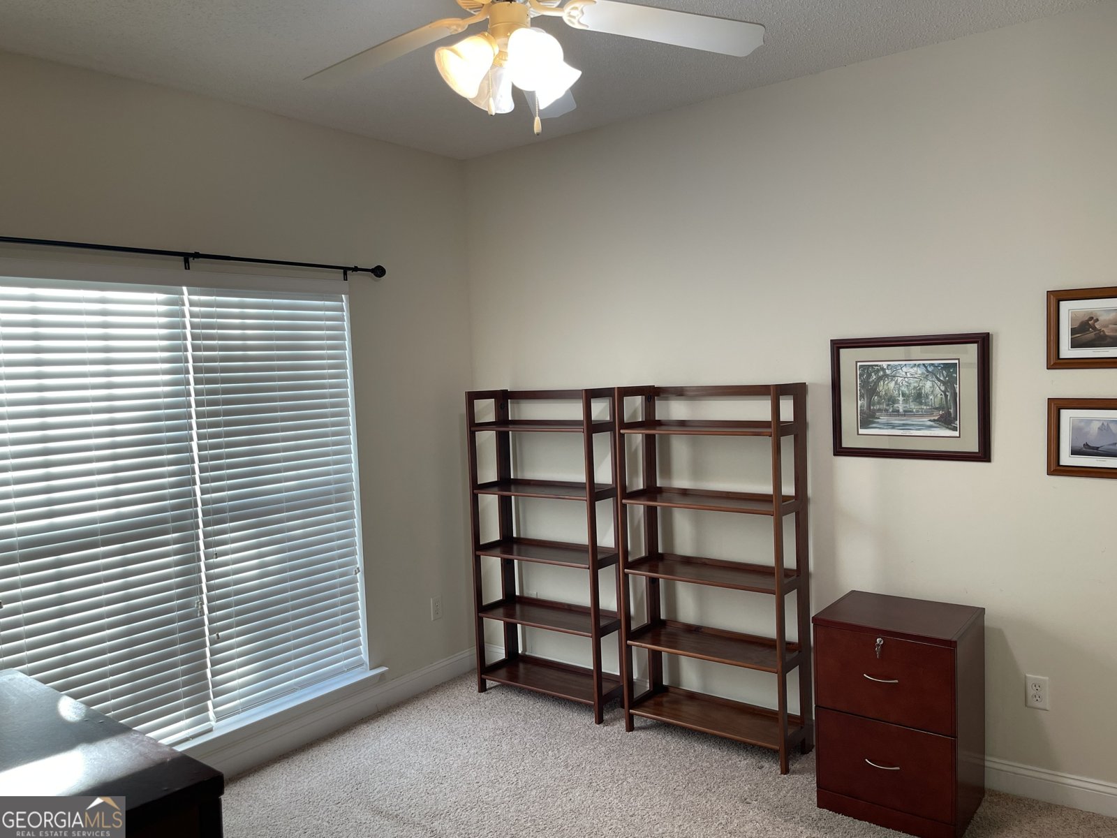 137 Blue Ridge Drive Statesboro - Photo 21